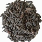 Natural Harad | Haritaki Whole | Powerful Ayurvedic Digestive Herb