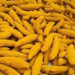 Pure Sabut Haldi | Whole Turmeric Fingers | High Curcumin Ayurvedic Spice